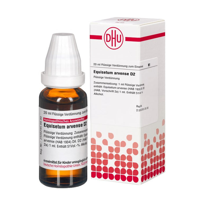 DHU Equisetum arvense D2 Dilution, 20 ml Lösung