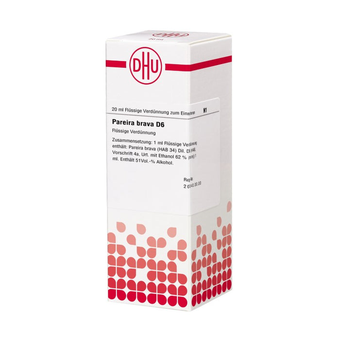 DHU Pareira brava D6 Dilution, 20 ml Lösung