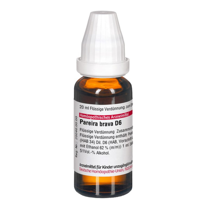 DHU Pareira brava D6 Dilution, 20 ml Lösung