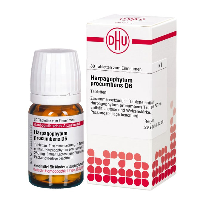 DHU Harpagophytum procumbens D6 Tabletten, 80 St. Tabletten