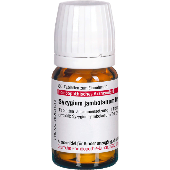 DHU Syzygium jambolaneum D 2 Tabletten, 80 St. Tabletten