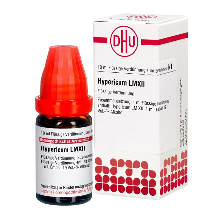 Hypericum LM XII DHU Dilution, 10 ml Lösung