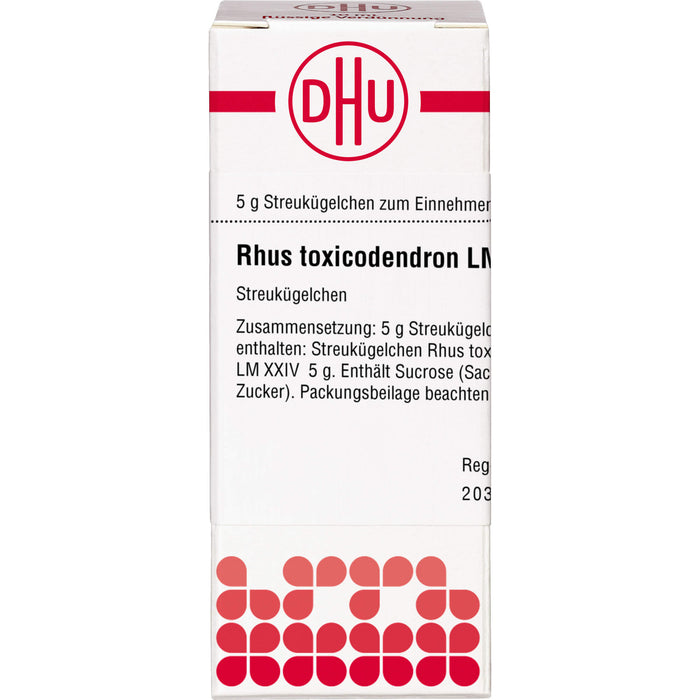 DHU Rhus toxicodendron LM XXIV Streukügelchen, 5 g Globules