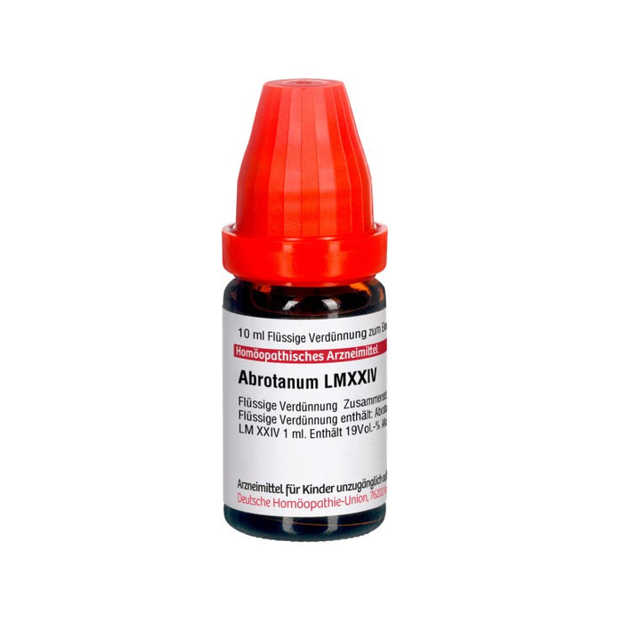 Abrotanum LM XXIV DHU Dilution, 10 ml Lösung