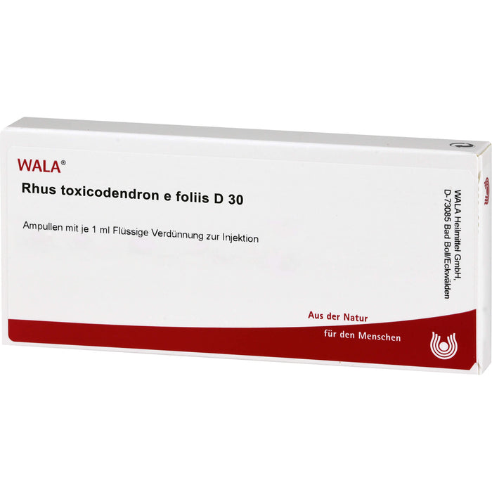 Rhus Tox e Fol. D30 Wala Ampullen, 10X1 ml AMP