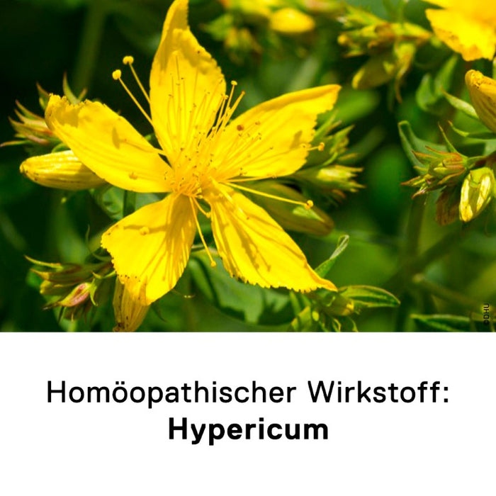 DHU Hypericum D6 Streukügelchen, 10 g Globuli