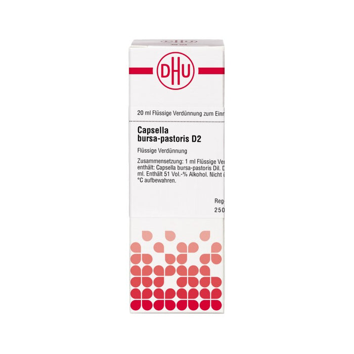 DHU Capsella bursa-pastoris D2 Dilution, 20 ml Lösung