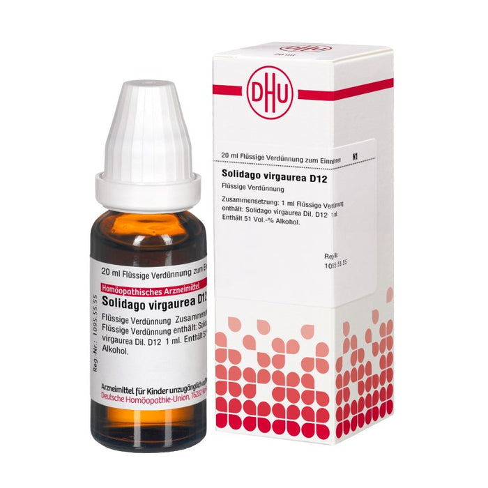 DHU Solidago virgaurea D12 Dilution, 20 ml Lösung