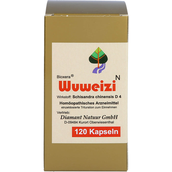 Wuweizi Kaps., 120 St KAP