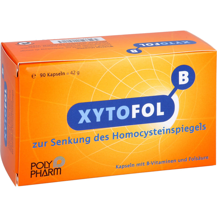 XYTOFOL B Kapseln zur Senkung des Homocysteinspiegels, 90 pcs. Capsules