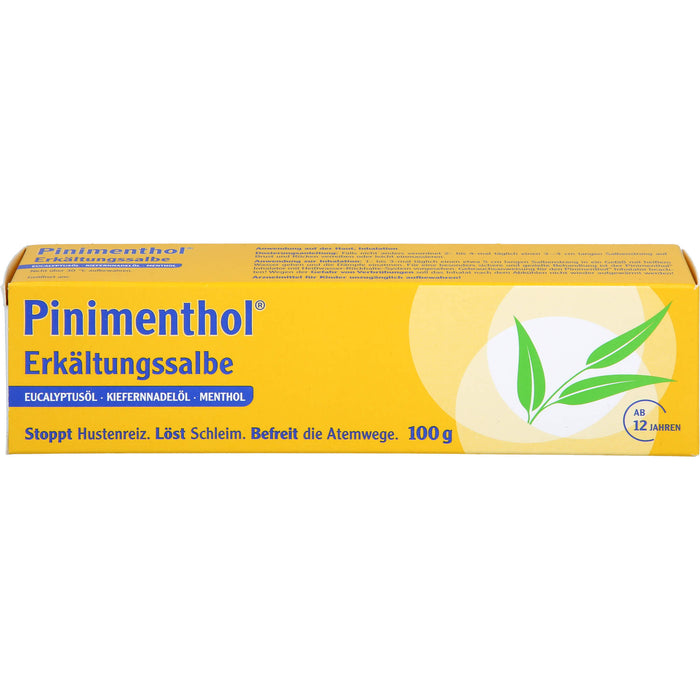 Pinimenthol Erkältungssalbe, 100 g Cream