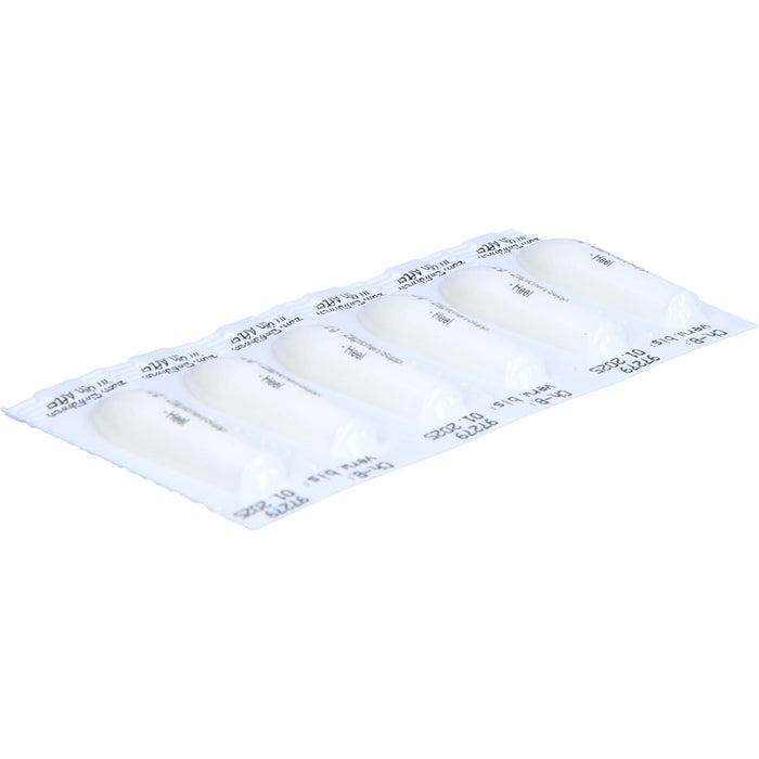 Hämorrhoidal Zäpfchen N Cosmochema, 12 pcs. Suppositories