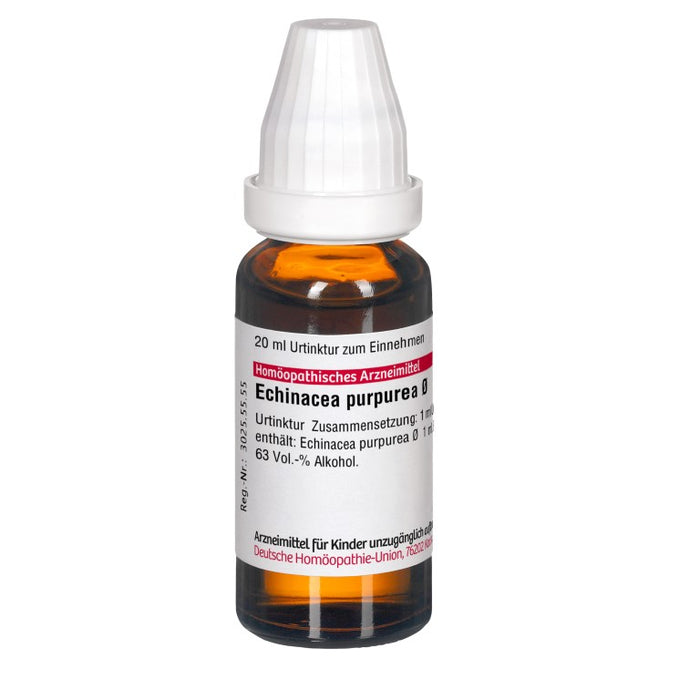 DHU Echinacea purpurea Ø Urtinktur, 20 ml Lösung