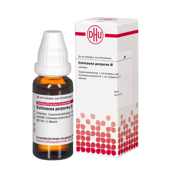 DHU Echinacea purpurea Ø Urtinktur, 20 ml Lösung