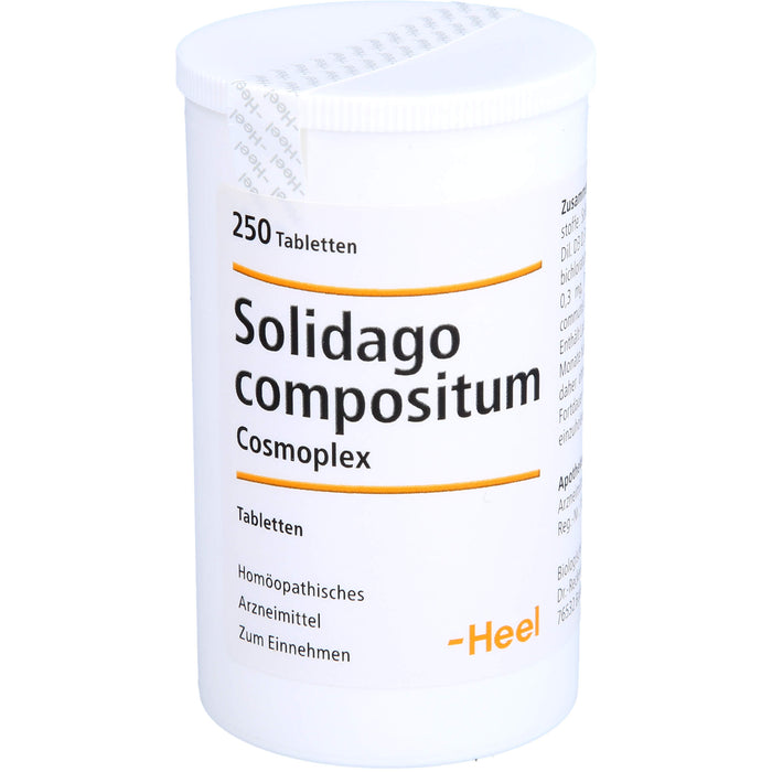 Solidago compositum Cosmoplex Tbl., 250 St TAB