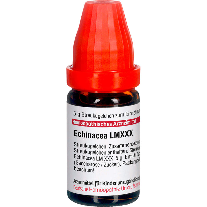 Echinacea HAB LM XXX DHU Globuli, 5 g Globuli