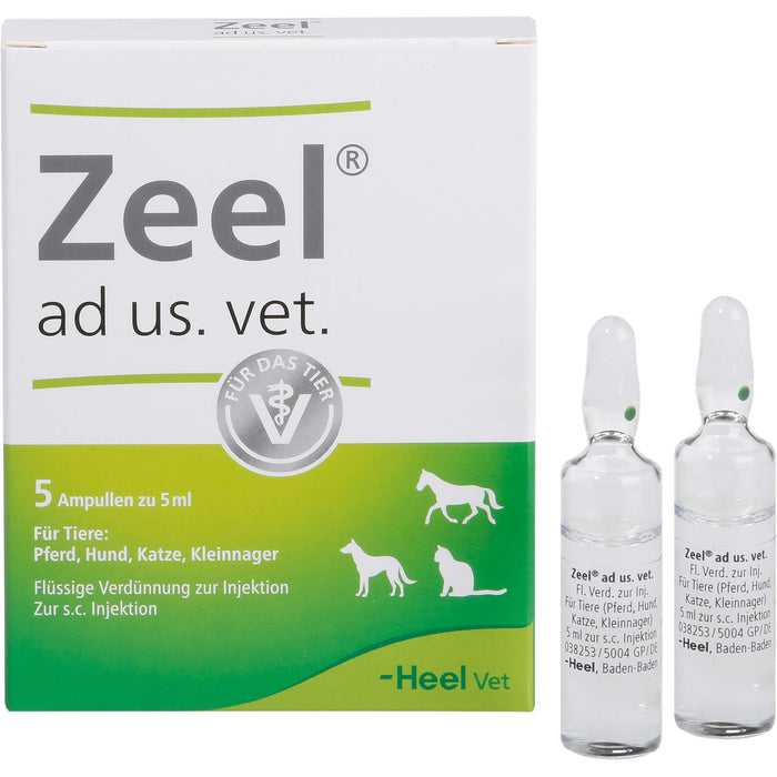 Zeel ad us. vet. Ampullen Flüssige Verdünnung zur Injektion, 5 ml Solution