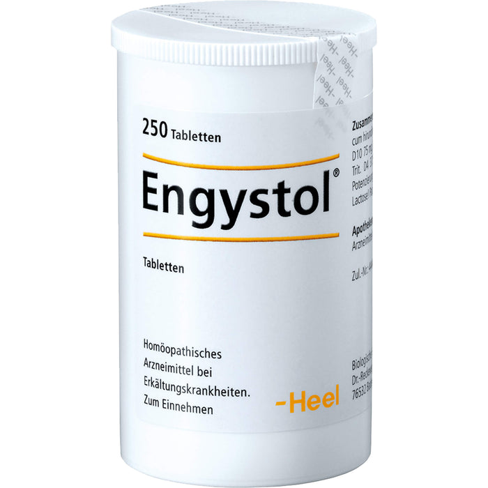 Engystol Tabletten bei Erkältungskrankheiten und grippalen Infekten, 250 pc Tablettes