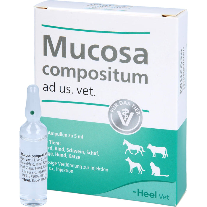 Heel Mucosa compositum ad us. vet. Ampullen, 5 pcs. Ampoules