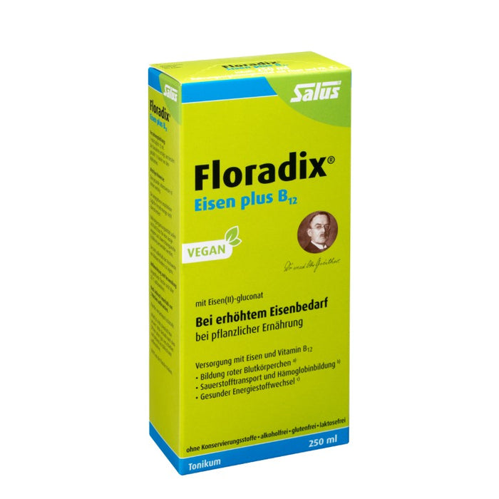 Floradix Eisen plus B12 vegan Tonikum bei erhöhtem Eisenbedarf, 250 ml Lösung