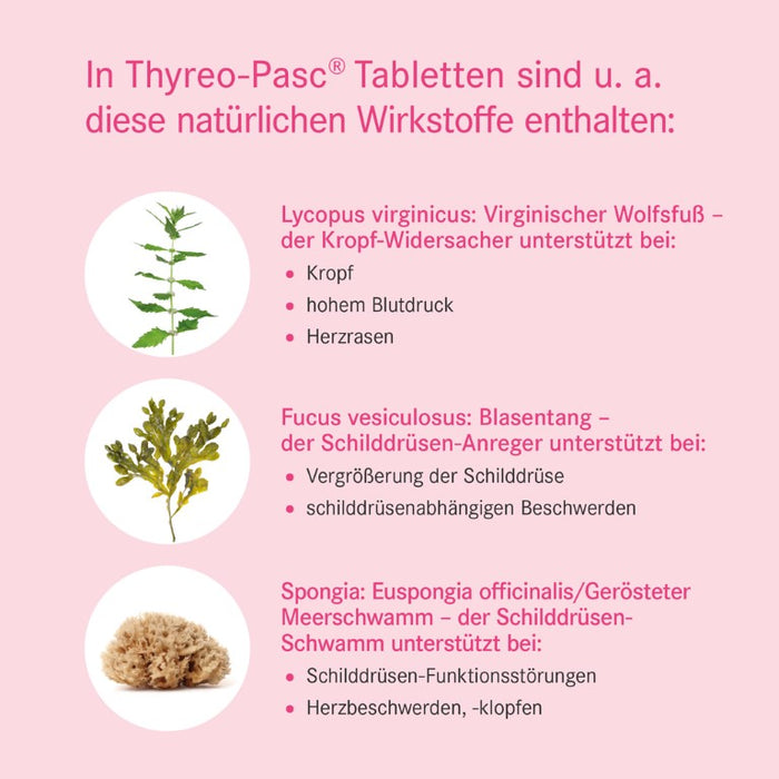 Thyreo-Pasc Tabletten bei Schilddrüsenerkrankungen, 100 St. Tabletten