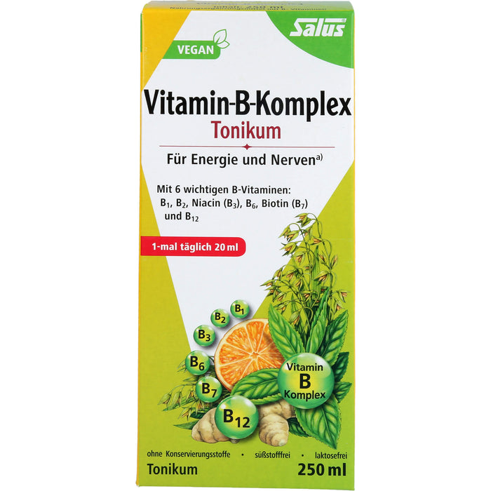 Salus Vitamin-B-Komplex Tonikum für Energie und Nerven, 250 ml Lösung