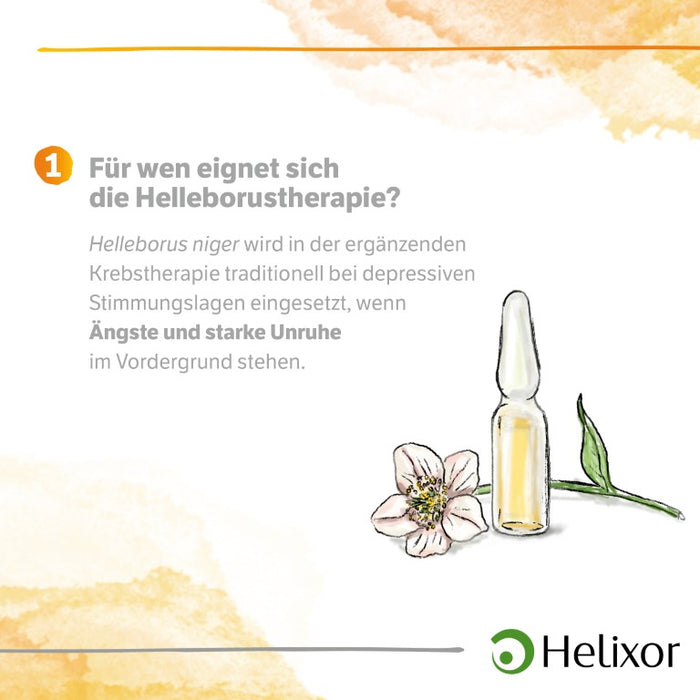 Helleborus niger aquos. D3, 8 pc Ampoules