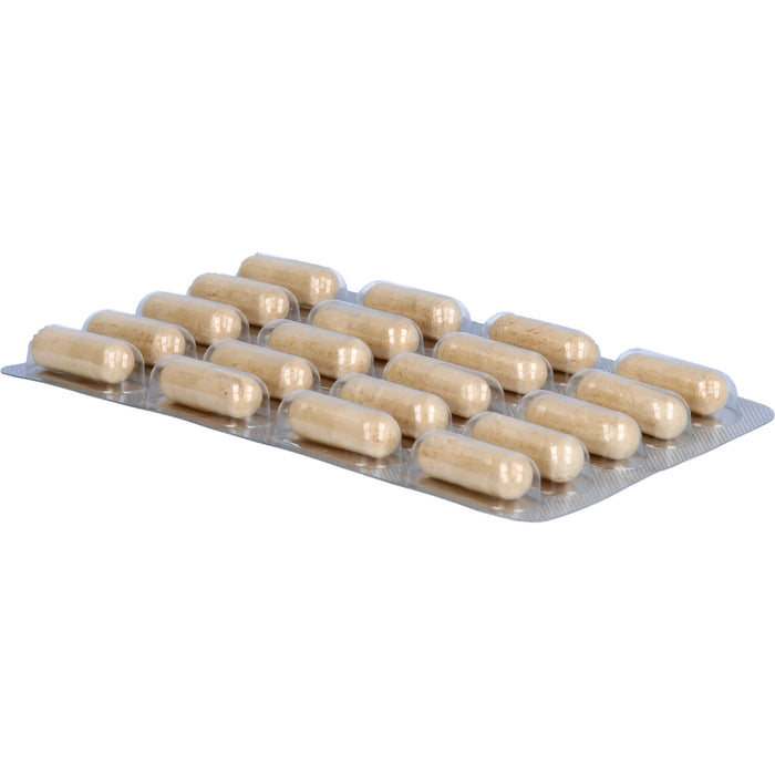 Flarix + C, 40 pc Capsules