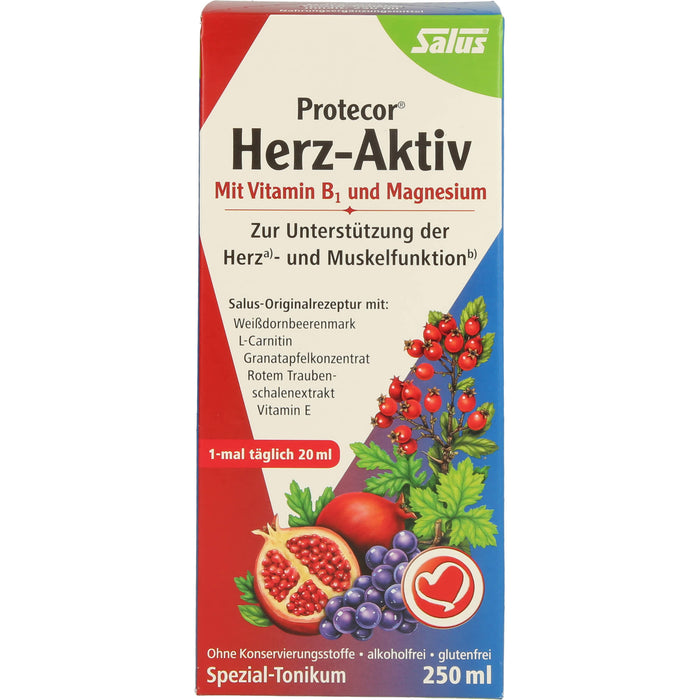 Salus Protector Herz-Aktiv Spezial-Tonikum, 250 ml Solution