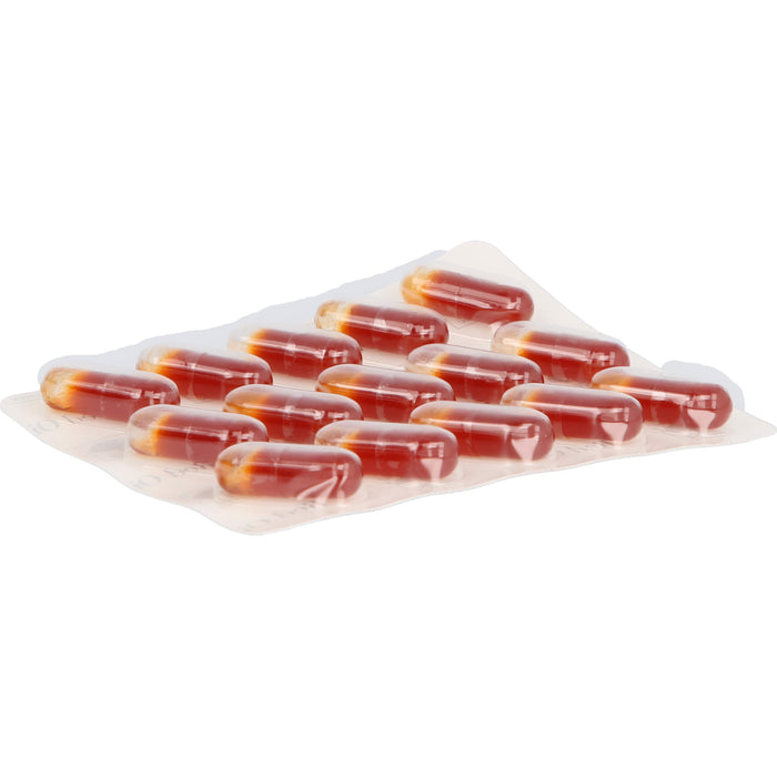 Krill Omega Red Oil Kapseln, 60 pc Capsules