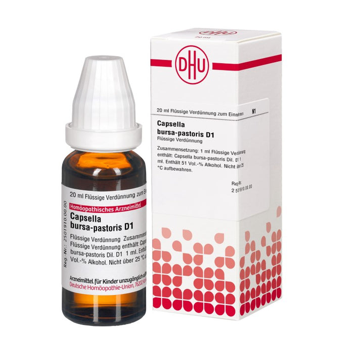 Capsella bursa-pastoris D1 DHU Dilution, 20 ml Lösung