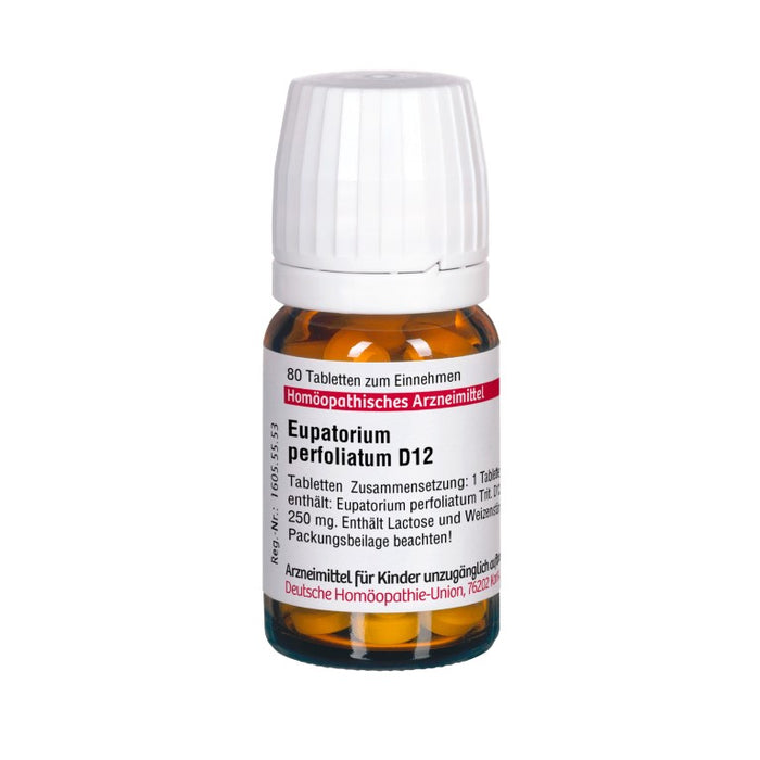 Eupatorium perfoliatum D12 DHU Tabletten, 80 St. Tabletten