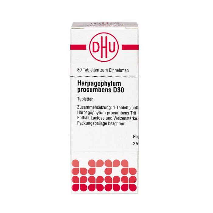 Harpagophytum procumbens D30 DHU Tabletten, 80 St. Tabletten