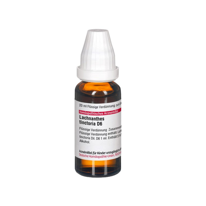 DHU Lachnanthes tinctoria D 6 flüssige Verdünnung, 20 ml Lösung