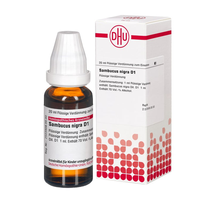 Sambucus nigra D1 DHU Dilution, 20 ml Lösung