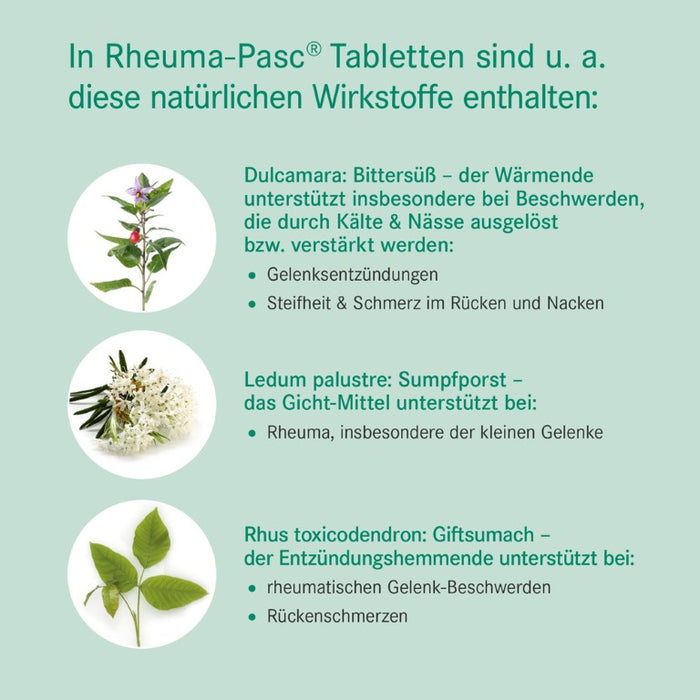 Rheuma-Pasc Tabletten bei rheumatischen Beschwerden, 100 pcs. Tablets