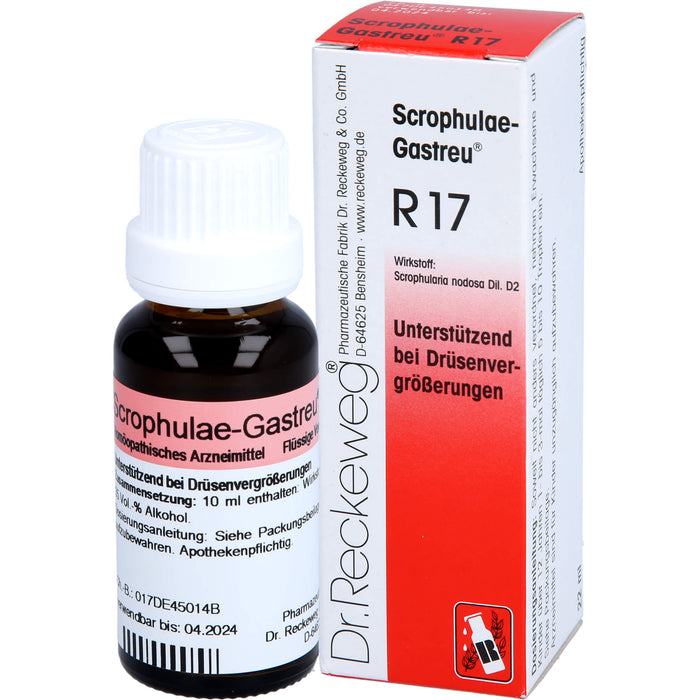 Scrophulae-Gastreu R17 Tropf., 22 ml MIS