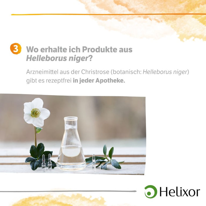 Helleborus niger D 3 aquos., 50 pc Ampoules