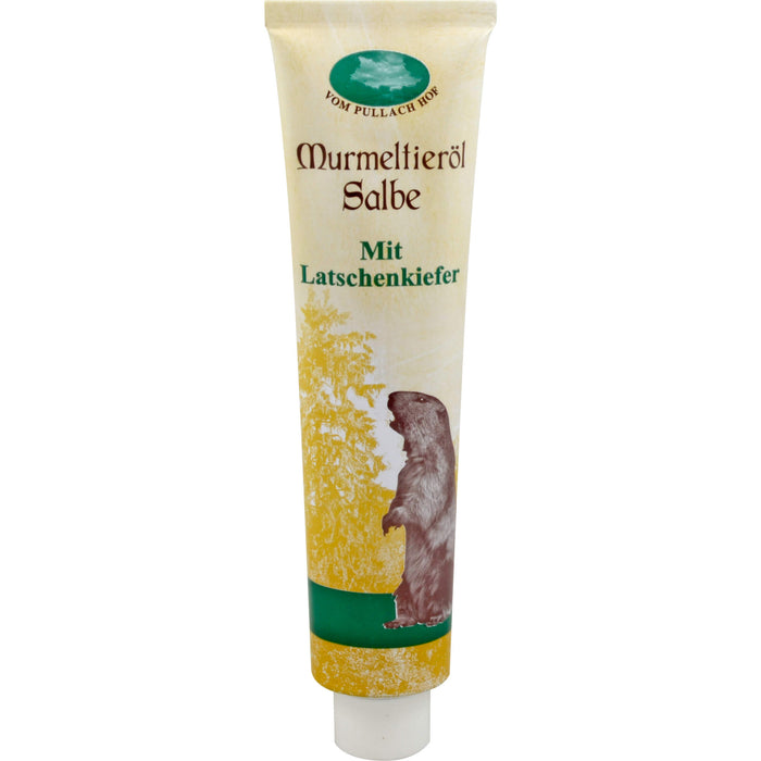 Murmeltieröl Salbe, 200 ml Ointment