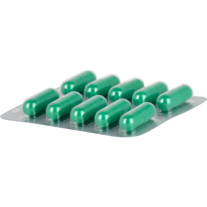 Hepar-SL 320 mg Kapseln, 200 pcs. Capsules