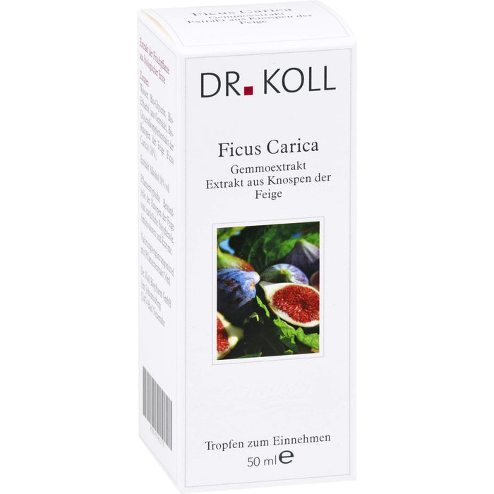 DR. KOLL Ficus Carica Gemmoextrakt Tropfen, 50 ml Lösung