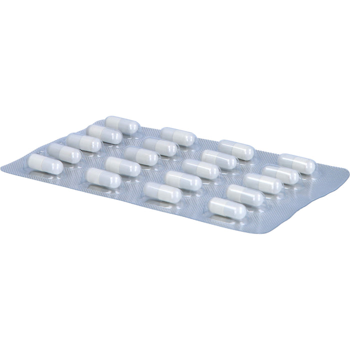 FORUM VITA Omega iQ Mini Kapseln, 60 pcs. Capsules