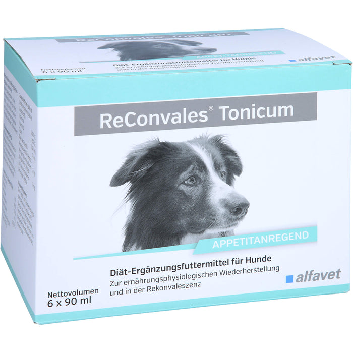 ReConvales Tonicum Hund, 6X90 ml TON