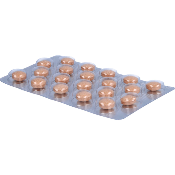 SanFerin Tabletten, 20 pcs. Tablets