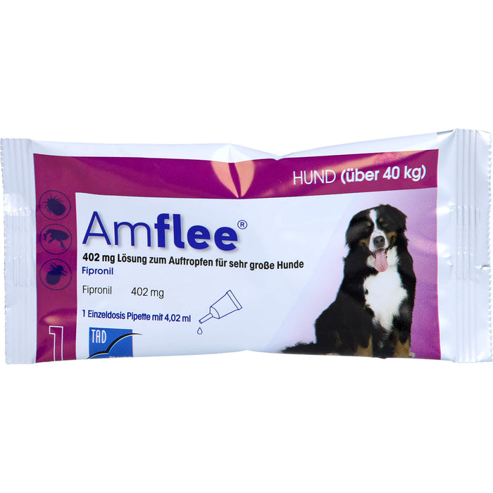 Amflee 402 mg Lösung zum Auftropfen für Hunde über 40 kg, 3 St. Ampullen