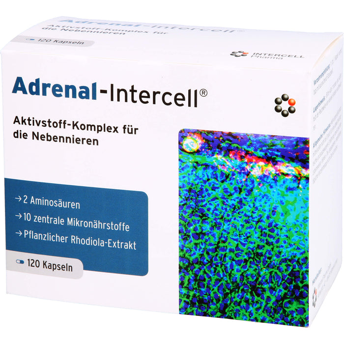 Adrenal-Intercell Aktiv-Komplex für die Nebennieren Kapseln, 120 pc Capsules