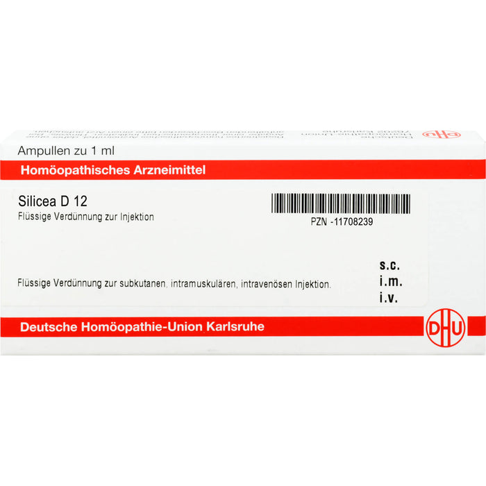 DHU Silicea D12 Ampullen, 8 St. Ampullen