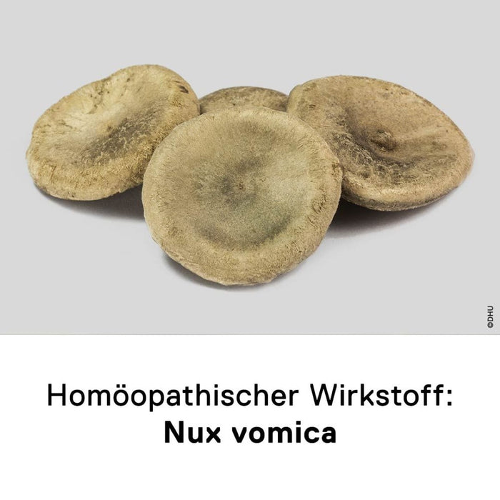 DHU Nux vomica D6 Streukügelchen – hilft im Verdauungstrakt – nebenwirkungsarm, 10 g Globuli