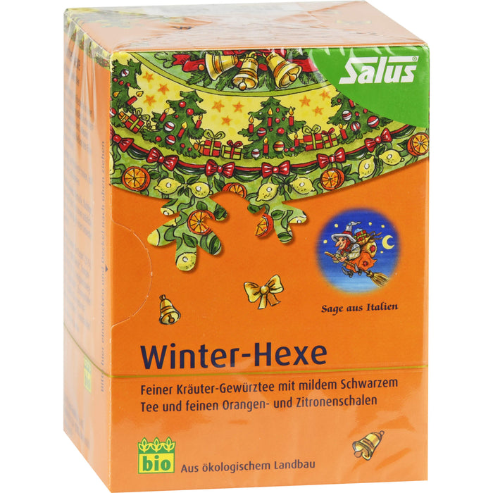 Winter-Hexe Kräuter-Gewürztee bio Salus, 15 St FBE