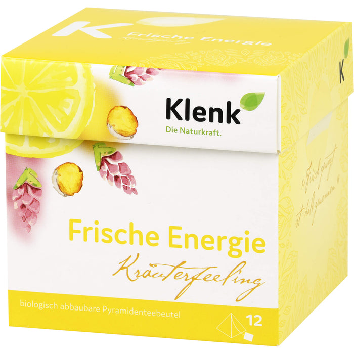 Frische Energie Pyramidenbtl., 12X2.5 g TEE